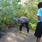 FRIENDS of the Environment's Education Officer, Cassandra Abraham, shows students the prop roots of the red mangrove tree.