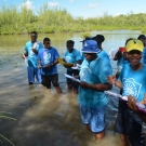 Students from Abaco Central High School identify mangrove roots as our Director of Education, Amy Heemsoth point to them.