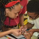 Students test the pH of a liquid using pH paper and then match the color of the pH paper to the chart to determine the pH.