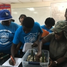 FRIENDS of the Environment's Education Officer, Cassandra Abraham, helps students plant their mangrove seedlings in pebbles and then label the spot where they are placed in the plant flat.