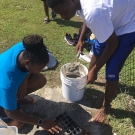 Playing in the Mud is Fun - Students from Abaco Central High School grade 10 Biology fill the plant flat with mud.