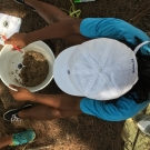 Forest Heights Academy student measures the temperature of the soil in her mangrove plot.