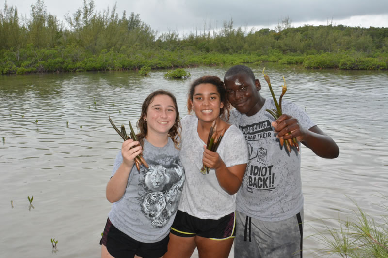 4.	Students from Forest Heights Academy show off the mangrove propagules they have collected for their class project.