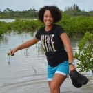 3.	It’s a slippery, wet, and muddy walk through the mangrove forest to collect a few leaves.