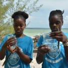 5.	Measuring the salinity of water in the mangrove forest.