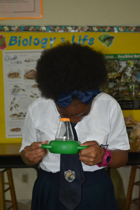 Student at Abaco Central High School looks through a microviewer to get a better look at a decorator crab.