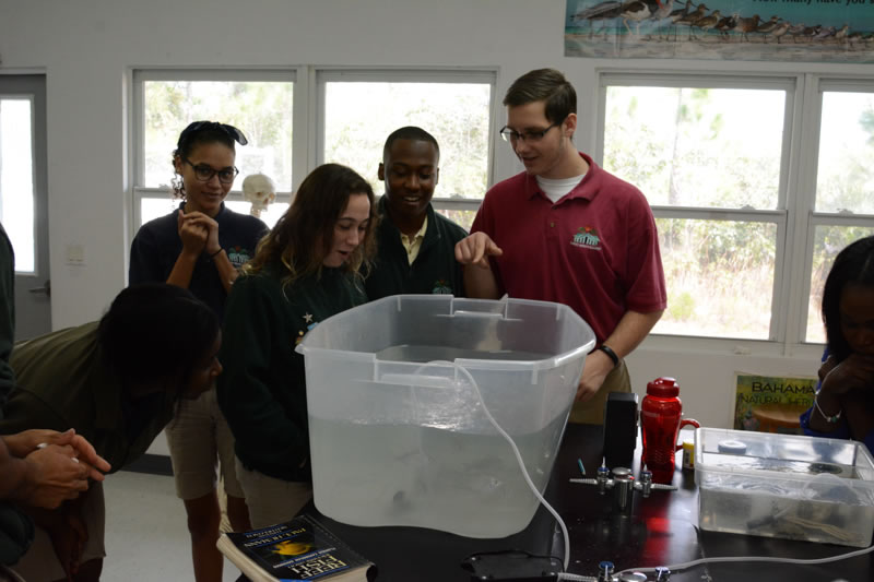 Forest Heights Academy students are excited to see a pufferfish. The next step is for them to use books to identify the species.