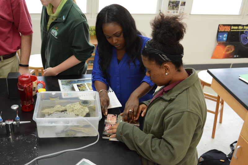 FRIENDS Education Officer Cassandra Abraham helps a student at Forest Heights to identify a sea urchin.