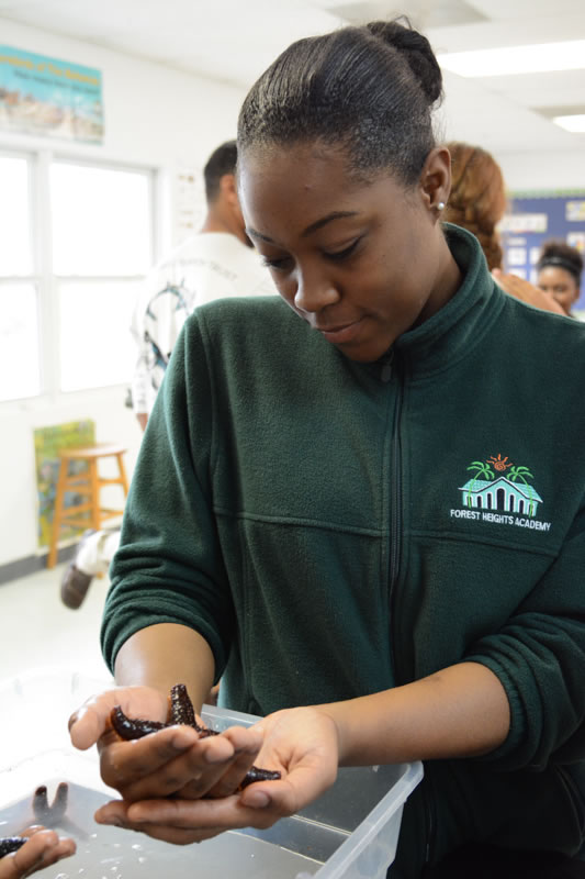An inquisitive student at Forest Heights Academy observes the behavior of a sea star. She had many questions for us.