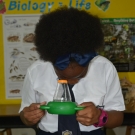 Student at Abaco Central High School looks through a microviewer to get a better look at a decorator crab.