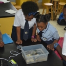 The upside jellyfish intrigues students at Abaco Central High School. Students know not to touch this stinging creature.