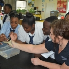 Students at Abaco Central High School carefully touch sea urchins for the first time.