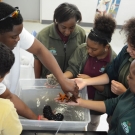 FRIENDS Program Assistant AJ McIntosh allows students to hold sea stars and sea urchins, so that students at Forest Heights Academy can feel the tube feet moving on their hands.