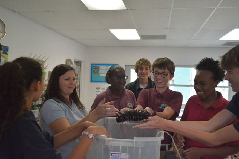 Students at Forest Heights Academy hold a sea cucumber. Some students are holding this organisms for the first time.
