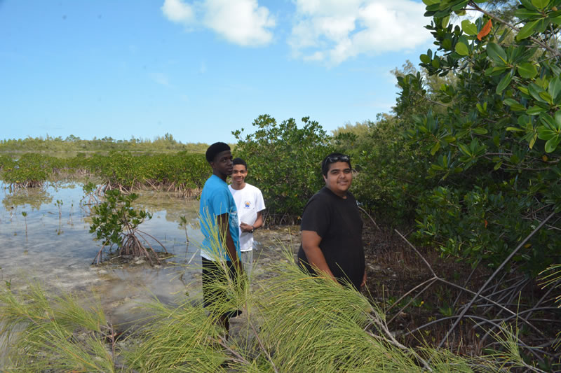 Forest Heights Academy group members take a time out from monitoring their mangroves to pose for a photo.