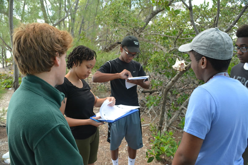 Forest Heights students record their data in the mangrove journals.