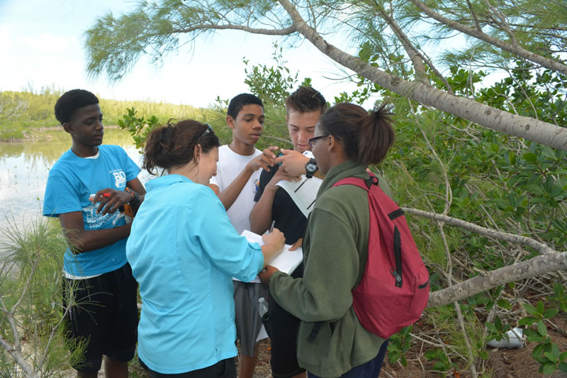 Director of Education, Amy Heemsoth helps students at Forest Heights Academy collect mangrove data.