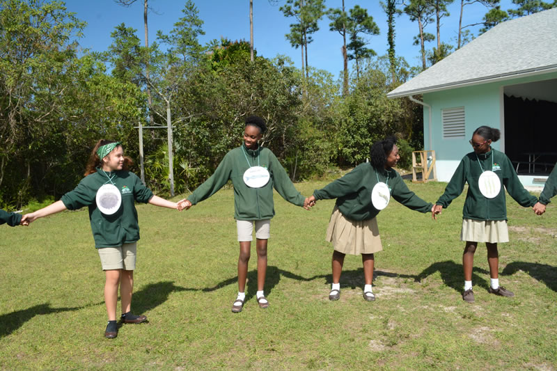 Grade 10 Biology students at Forest Heights Academy form a circle around the sun, which is where the food web begins. Each student represents a different animal in the mangrove food web.