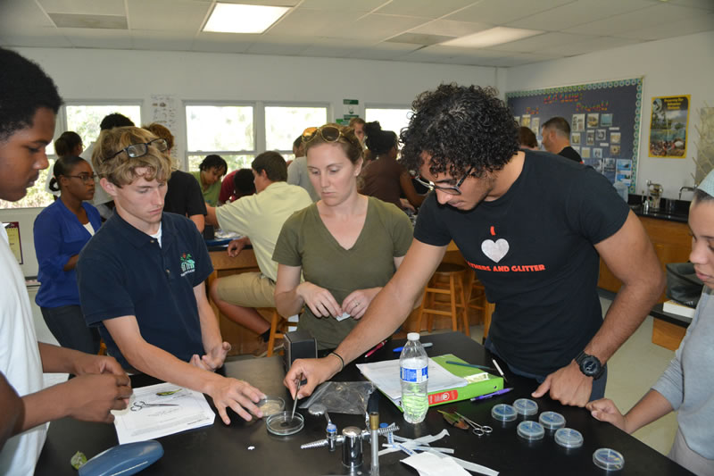 Students at Forest Heights Academy further sterilize the mangrove leaf isolations by placing them in a bleach solution for several seconds before transferring them to their agar plate.
