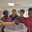 "Sea cucumbers are like worms of the sea. They help to break down the detritus in the sand, recycling nutrients. " Director of Education, Amy Heemsoth explains to students in the year one B.A.M. program at Forest Heights Academy.