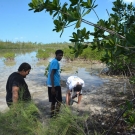 BAM year 2 students from Forest Heights Academy wade into the mangrove mud to sample the pH and dissolved oxygen in their quadrats.