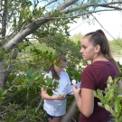 Students at Forest Heights Academy that are in the year 2 program work in teams of 5-6 people in order to monitor the mangroves in a 5 x 5 meter area.