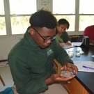Forest Heights Academy students get a chance to touch the agar in a test plate to see what it feels like. Most students have never touched or seen agar before. Students will not be able to touch the agar in their own plates or else they will contaminate their samples.