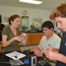 To prevent bacterial contamination, Ryann Rossi, PhD candidate at North Carolina State University shows students how to seal their agar plates with Parafilm.