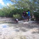 As part of the year two program, Forest Heights Academy students measure the non-living or abiotic factors in their quadrat. This student is collecting a water sample to test the amount of dissolved oxygen in water.