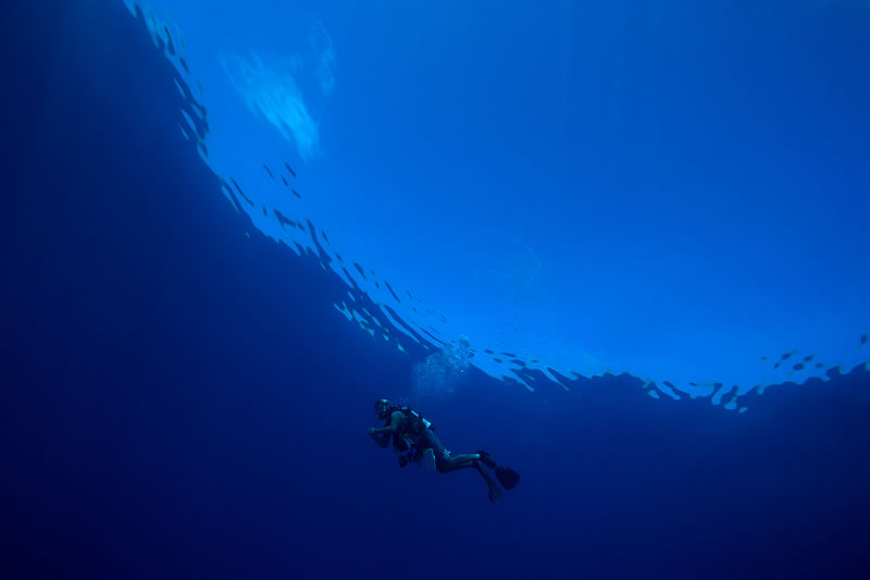 A diver surfaces. Photo: Ken Marks/KSLOF