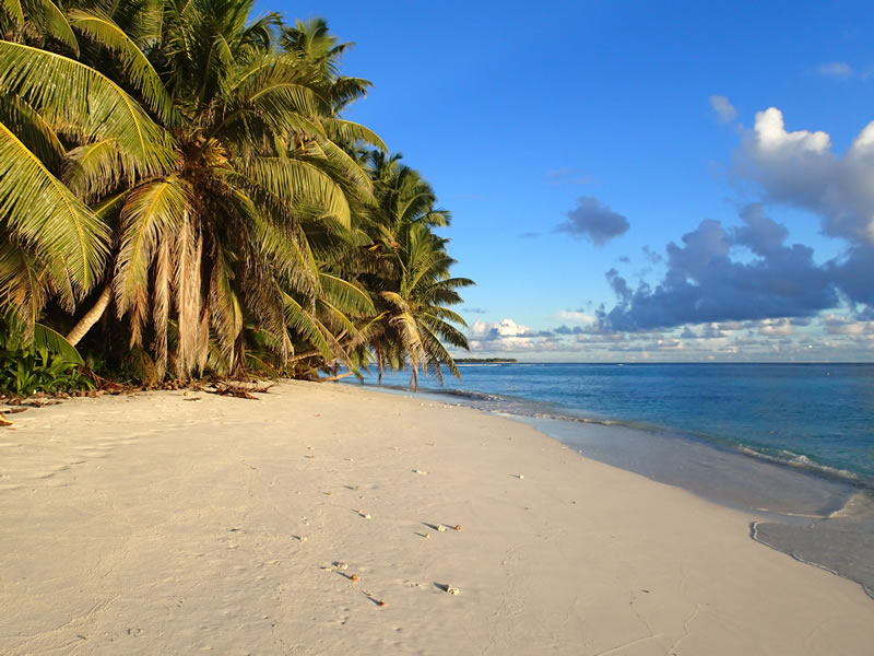Chagos Archipelago Photo: Anderson Mayfield/KSLOF