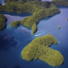 Palau from above. Photo: ©Keith Ellenbogen/iLCP 