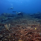 A reef slope covered with cascading foliose colonies of Echinopora coral.