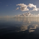 Glassy seas make for smooth sailing between survey sites.