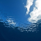 Looking up at the clouds through the glassy calm surface of the water during a 15 ft. safety stop at the end of a survey dive.