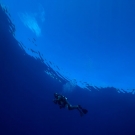 Anderson Mayfield during a safety stop at the end of a dive under the ceiling of a glassy calm sea.