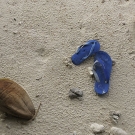 Notice anything strange about these shoes? Take a close look and notice that they are two completely different shoes in the same color that happned to wash up as garbage onto an uninhabited island in the Three Brothers group of Chagos