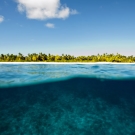 View above and below the water line at the end of a morning survey dive off South Brother Island along the western edge of the Great Chagos Bank.