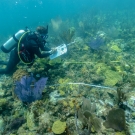 Dr. Andrew Buckner conducts a survey of the reef.