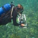 A Scientific Diver photographs a transect.