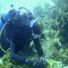 A member of the Science Team conducts a survey.