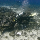 A member of the Science Team conducting a survey.