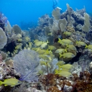 sany0039