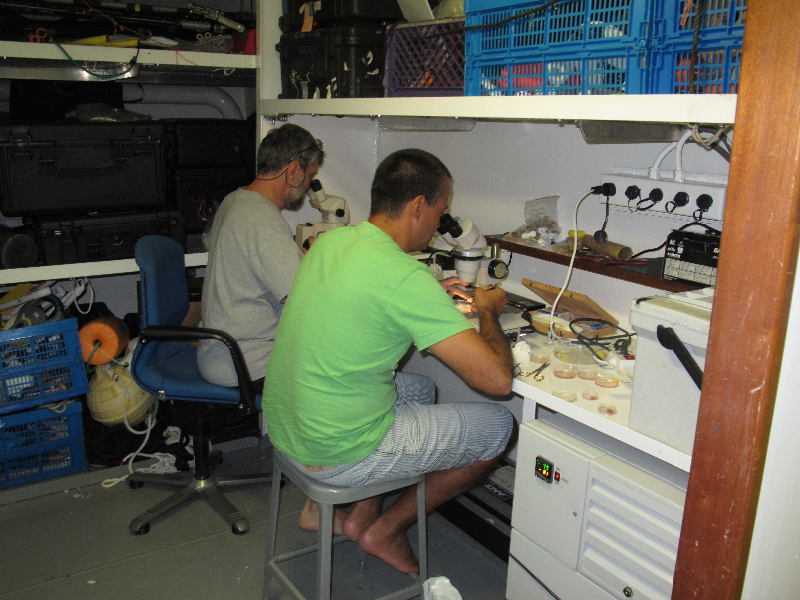 Members of the science team work in the lab aboard the M/Y Golden Shadow.