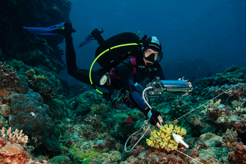 Living Oceans Fellow João Monteiro performing a scientific survey.
