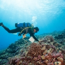 Living Oceans Fellow Badi Samaniego sets up to do a fish survey.