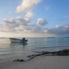 Serene picture of a Cook Islands Beach.