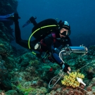 Living Oceans Fellow João Monteiro performing a scientific survey.