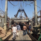 Exploring the giant commercial fishing vessels at the Port of Dakar.