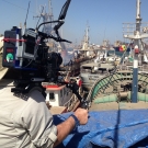 The industrial Senegaleese fishing fleet docked in Dakar.